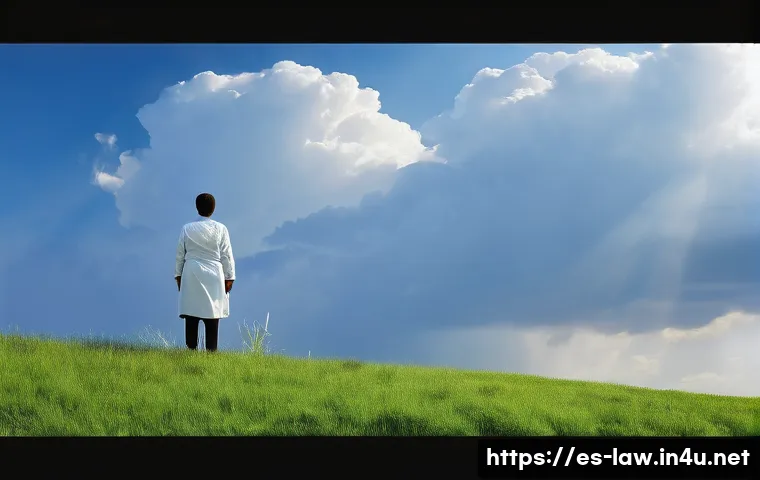 형사소송법상 항소와 상고 관련 이미지 2